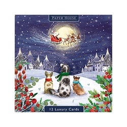 Christmas Pups Christmas Boxed Cards Christmas