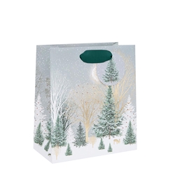 Frosty Grove Christmas Medium Gift Bag Christmas