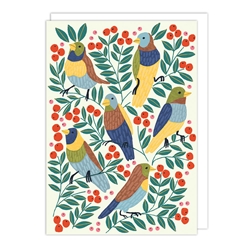 Parrots Blank Card 