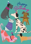 Party Dogs Birthday Card