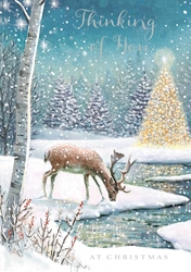 Deer at Stream Christmas Card 