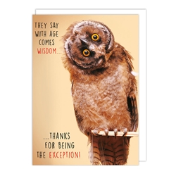 Owl Wisdom Birthday Card 