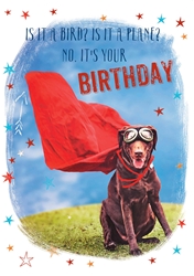 Super Dog Birthday Card