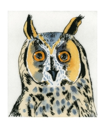 Long Eared Owl Blank Card