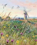 Blank Windmill Greeting Card