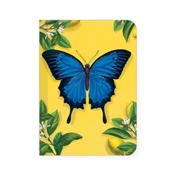 NHM Ulysses Butterfly Mini Notebook 
