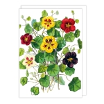 Illustrated Bouquet Blank Card 