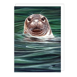 Curious Seal Blank Card 