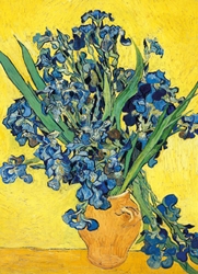 Irises by Vincent Van Gogh Blank Card 