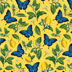 NHM Ulysses Butterflies Sheet Gift Wrap 