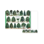 British School Illustration Our British Trees Writing Set 