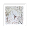 Deer in Midwinter Christmas Boxed Cards Christmas