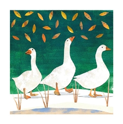 Snow Geese Christmas Boxed Cards Christmas