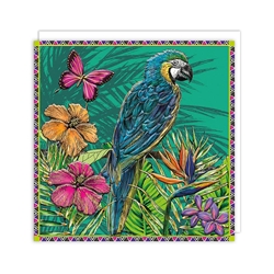 Parrot and Butterfly Blank Card 