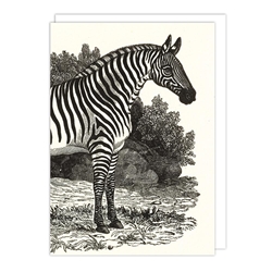 Zebra Landscape Blank Card 