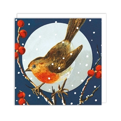Robin and Rosehips Christmas Boxed Cards Christmas