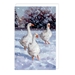 Winter Birds Christmas Theme Pack - XDT312