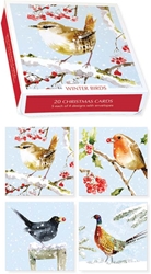 Winter Birds Christmas Boxed Cards Christmas