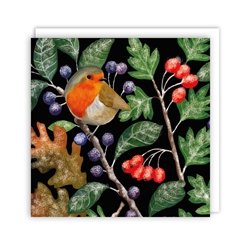 Robin and Frosty Berries Christmas Boxed Cards Christmas