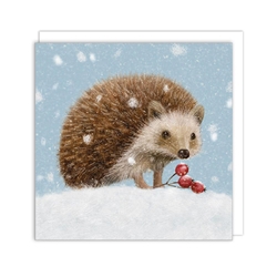 Little Hedgehog Christmas Cello Pack Christmas