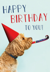 Party Dog Birthday Card