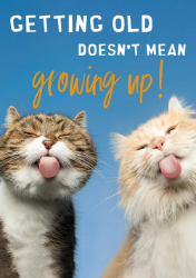 Birthday Cats Growing Up Card