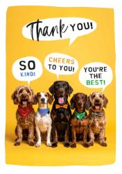 Dogs Cheers Thank You Card