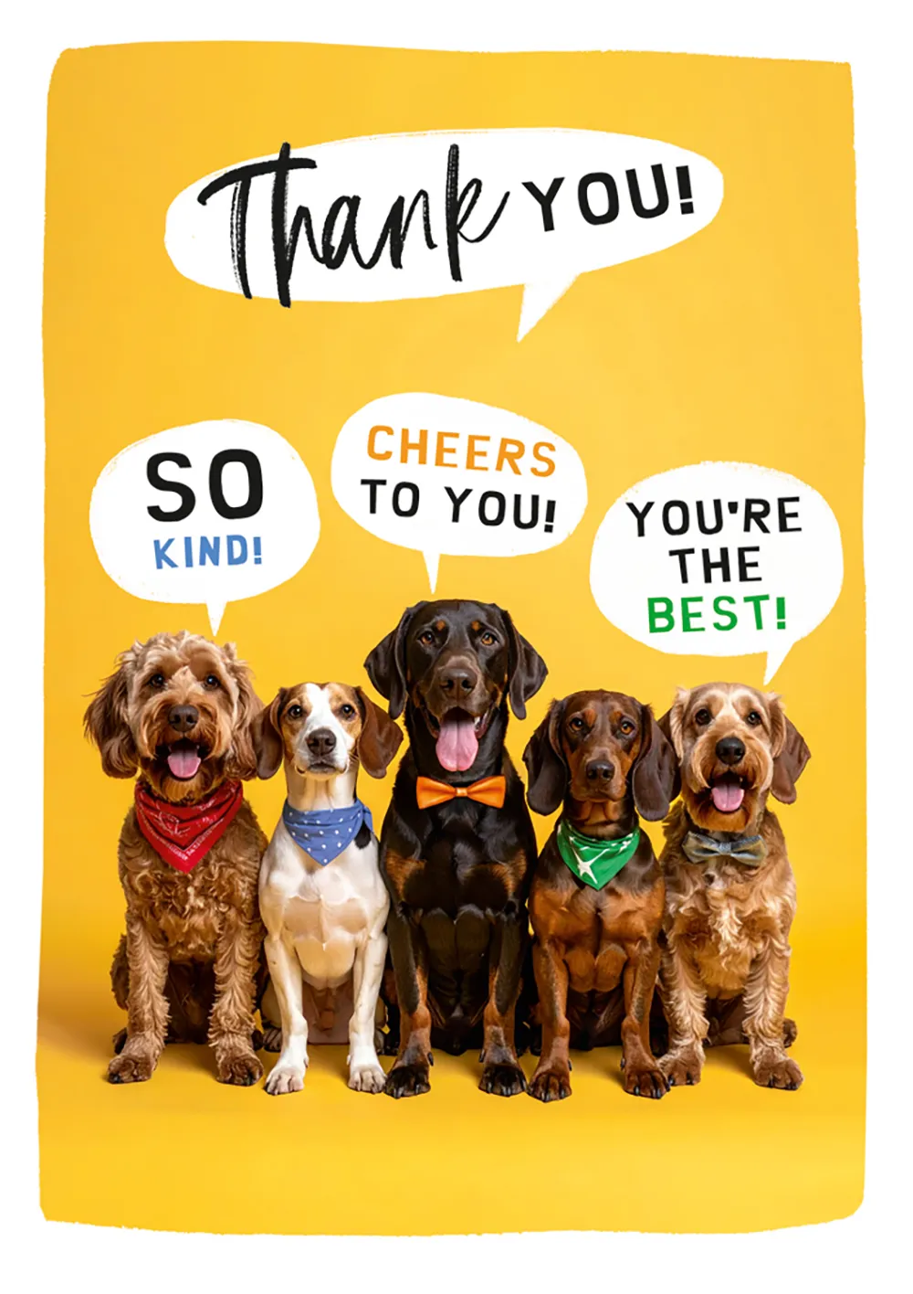 Dogs Cheers Thank You Card
