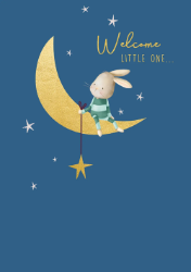 Bunny New Baby Boy Card
