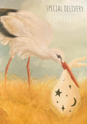 Stork Delivery New Baby Card