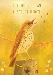 Little Birdie Birthday Card