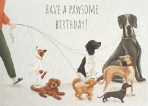 Pawsome Dogs Birthday Card