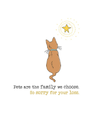 Cat And Star Sympathy Card
