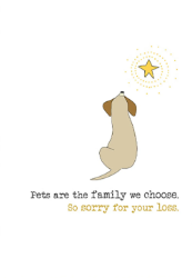 Dog And Star Sympathy Card