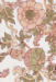 Wild Rose Terracotta Handmade Blank Card