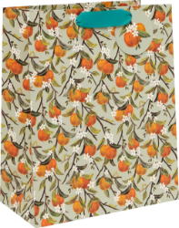 Fruit Orchard Large Gift Bag