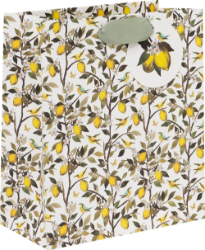 Fruit Orchard Medium Gift Bag