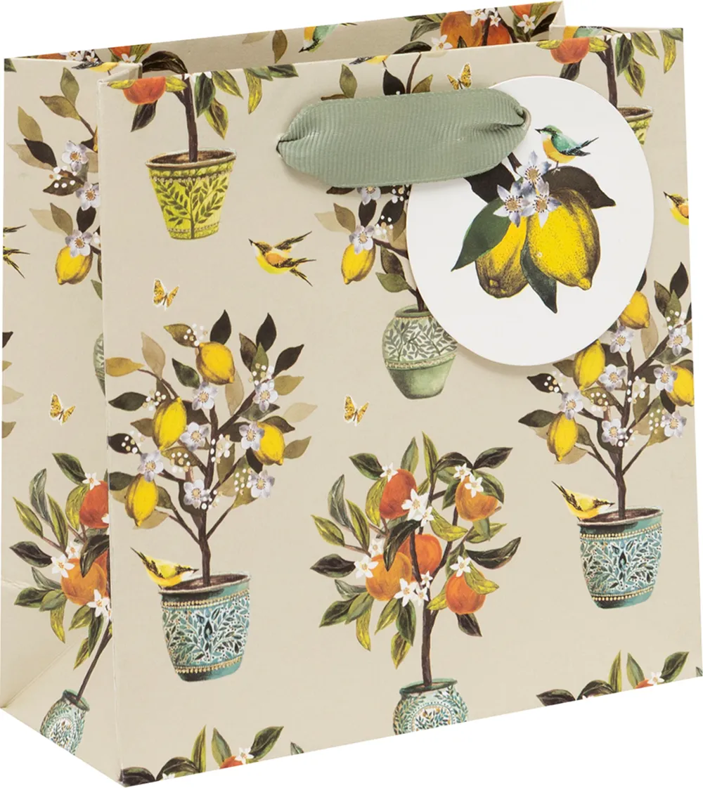 Fruit Orchard Small Gift Bag