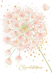Allium Congratulations Card