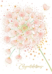 Allium Congratulations Card