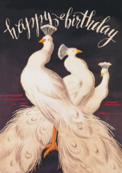 Peacock White Birthday Card