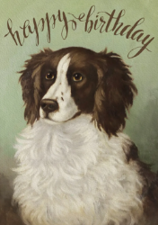 Fluffy Dog Birthday Card