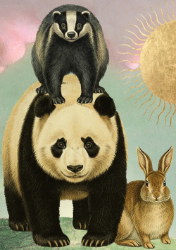 Badger Panada Bun Blank Card