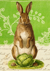 Cabbage Rabbit Blank Card