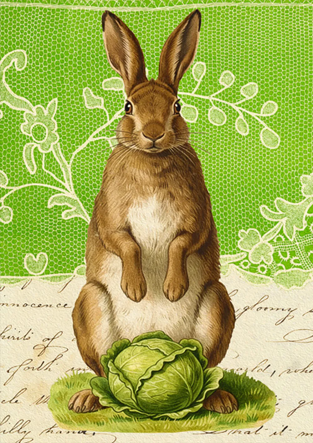 Cabbage Rabbit Blank Card