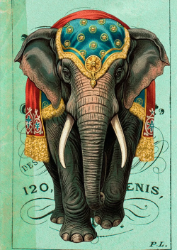 Elephant Glitter Blank Card