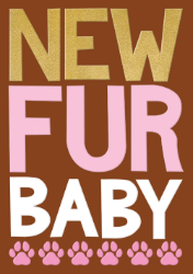 New Fur Baby Pink Paws Greeting Card
