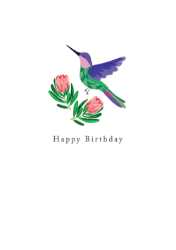 Hummingbird Birthday Card