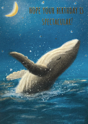 Spectacular Humpback Whale Birthday Card