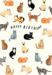 Many Cats Birthday Card